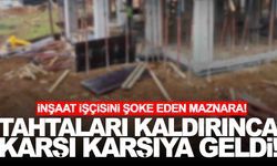 Yumak halinde bir aradaydılar!