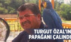 Turgut Özal'ın papağanı ‘Cabbar' yine çalındı