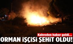 Yangına giden orman işçisi şehit oldu!