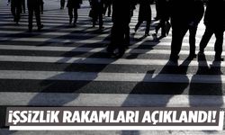 Temmuz ayında işsiz sayısı arttı!