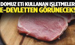 e-Devlet domuz eti kullanan işletmeleri gösterecek!