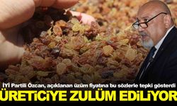İYİ Partili Gürhan Özcan’dan üzüm fiyatına tepki: “Üreticiye zulüm ediliyor”