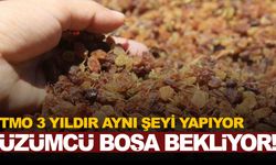 Üzüm üreticisi TMO’yu boşuna bekliyor!