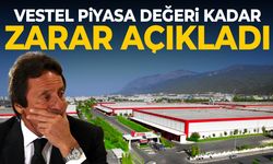 Vestel piyasa değeri kadar zarar açıkladı