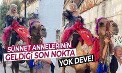 Düğün-sünnet şovları sınır tanımıyor…