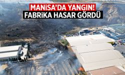 Manisa'da yangın çıktı! Fabrika ve tarım arazileri hasar gördü
