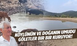 Yuntdağı’ndaki göletler kuruyor… Ne hayvana su kaldı ne yangın helikopterine!