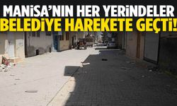 Manisa’nın her yerindeler: Belediye harekete geçti!