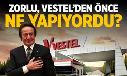 Zorlu, Vestel’den önce ne yapıyordu?