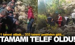 1 tanesi atladı… 333 tanesi peşinden gitti… Sonrası facia!