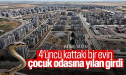 4’üncü kattaki bir evin çocuk odasına yılan girdi