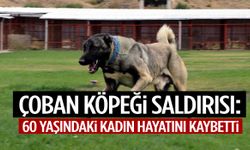 60 yaşındaki kadına sahipli çoban köpeği saldırdı
