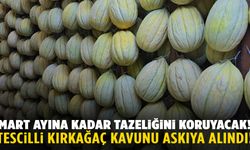 Avrupa tescilli Kırkağaç Kavunu askıya alındı