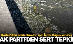 AK Partili Saygılı’dan balık ölümleri sonrası İzmir Büyükşehir’e sert tepki