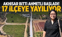 Akhisar bitiyor, Ahmetli başlıyor... 17 ilçeye yayılacak
