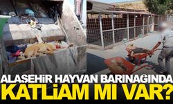 Alaşehir hayvan barınağında katliam mı var?