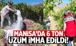Manisa'da 6 ton üzüm imha edildi! İşte nedeni...