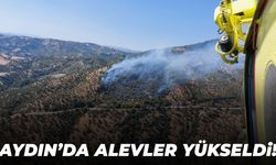 Aydın’da yangın! Müdahale sürüyor…