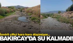 Bakırçay’da su kalmadı… Bergama Ovası’nda kuraklık tehlikesi!