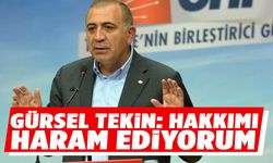 Gürsel Tekin: Hakkımı haram ediyorum