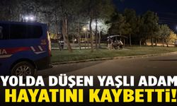 Yolda düşen yaşlı adam hayatını kaybetti
