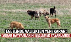 Ege ilinde sokak hayvanlarını beslemek artık yasak!