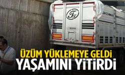 Ege’de üzüm yüklemeye gelen şoför direksiyonda ölü bulundu