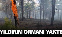 Ege’de yıldırım düştü… Ormanda yangın çıktı!
