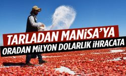 Güneşte kurutulan domatesler Manisa’da işlenip dünyaya açılıyor!