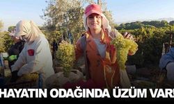 Manisa’da üretici gece gündüz mesaide… Hayatın odağında üzüm var!