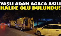 Yol kenarında dehşet: Ağaçta asılı ceset bulundu