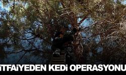 Salihli’de itfaiyeden kedi operasyonu… Kısa sürede kurtarıldı!