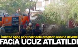 İzmir’de ağaç park halindeki araçların üzerine devrildi