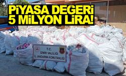 İzmir’de ele geçirildi… Piyasa değeri 5 milyon TL!