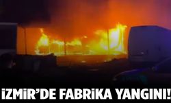 İzmir’de mobilya fabrikasında yangın çıktı!