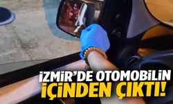 İzmir’de otomobilin içinden çıktı! Polisler çalışma başlattı…
