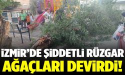 İzmir’de şiddetli rüzgar ağaçları devrildi! Yaralılar var…