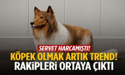 Köpek olmak artık trend! Rakipleri ortaya çıktı