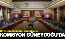Komisyon Güneydoğu’da… STK temsilcilerini dinlediler
