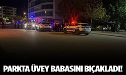 Parkta kanlı kavga! Üvey babasını bıçakladı