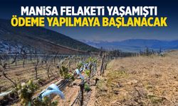 Manisa felaketi yaşamıştı! Ödeme yapılmaya başlanacak...