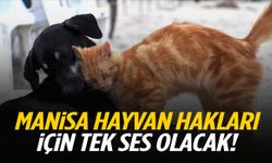 Manisa hayvan hakları için tek ses olacak!