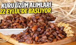 TMO, çekirdeksiz kuru üzüm alımlarına 22 Eylül’de başlıyor