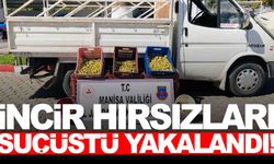 Manisa Kırkağaç’ta incir hırsızlığı… 5 kişi suçüstü yakalandı!