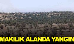 Manisa Selendi’de yangın… 3 saatte kontrol altına alındı