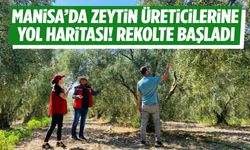 Manisa’da zeytin üreticilerine yol haritası! Çalışmalar başladı…