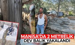 Manisa’da 2 metrelik dev balık yakalandı!