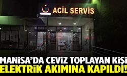 Manisa’da ceviz toplarken elektrik akımına kapıldı!