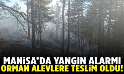 Manisa’da ormanda alevler yükseldi!