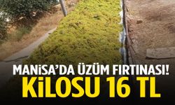 Manisa’da üzüm fırtınası! Kilosu 16 TL…